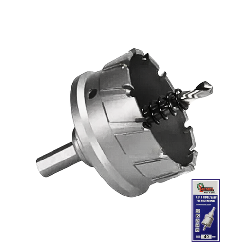 ريشة هولسو حديد